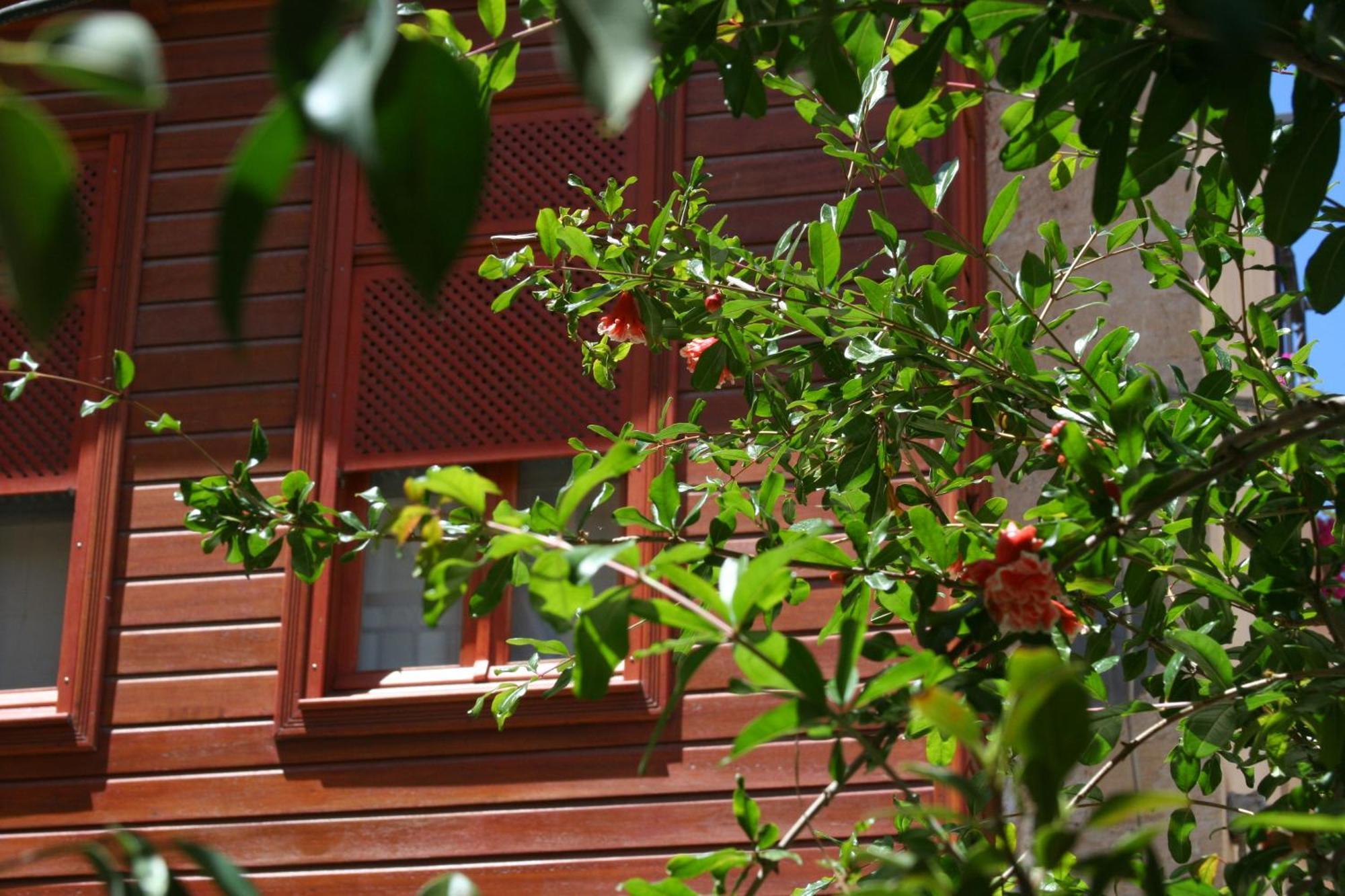 Ionas Boutique Hotel Chania  Exterior foto